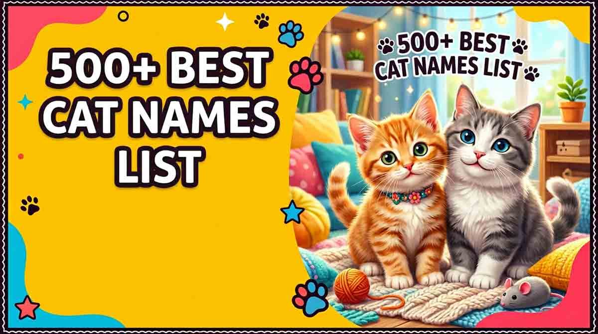500+ Best Cat Names List